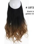 1BT27