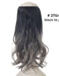 Black to Gray