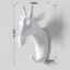 White Giraffe