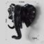 Black Elephant