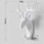 White Deer