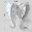 White Elephant
