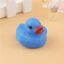 Blue Duck
