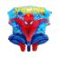 spider man [200006153]