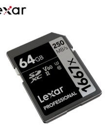 LEXAR SDXC Professional 1667X