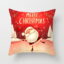 Santa Claus 12