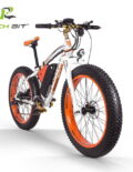 Hydraulic brake [200006154]