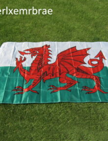 Wales Flagga (90cm x 150cm)