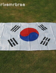 Sydkoreas Flagga (90cm x 150cm)