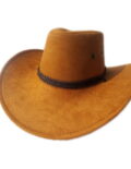 Yellow Cowboy hats