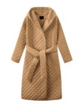 TP218 camel