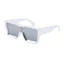 Silver Frame Silver