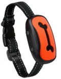 Bone Orange